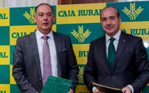 Caja Rural gana 20 millones de euros, un 21,5% más que el año pasado