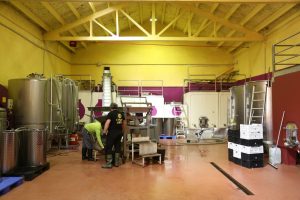 Zamora10 defiende el vino como esencial para la economía de la provincia