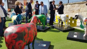 Las ovejas de la Feria Internacional del Queso Fromago de Zamora llegan a la capital vallisoletana en un emplazamiento muy especial